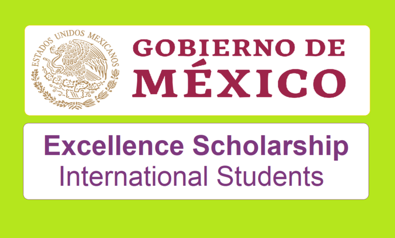 Excellence Scholarship